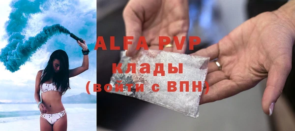 ешки Белокуриха