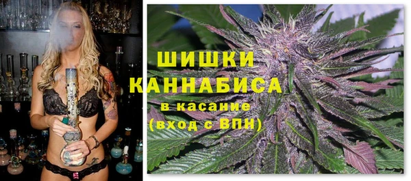 ешки Белокуриха