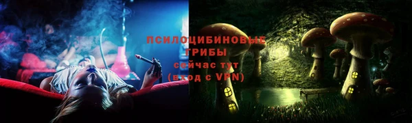 таблы Богородицк