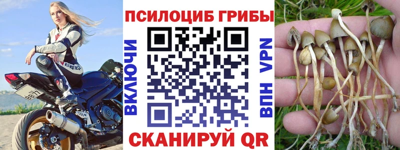 Псилоцибиновые грибы мухоморы  площадка наркотические препараты  Черноголовка 